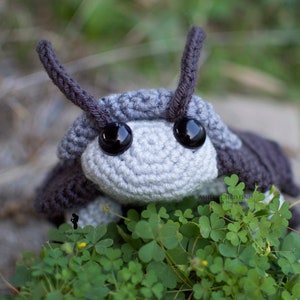 Pill Bug Plush Big Eyes Version Roly Poly Stuffed Crochet Animal Greyscale Gray Poseable Made to Order image 2