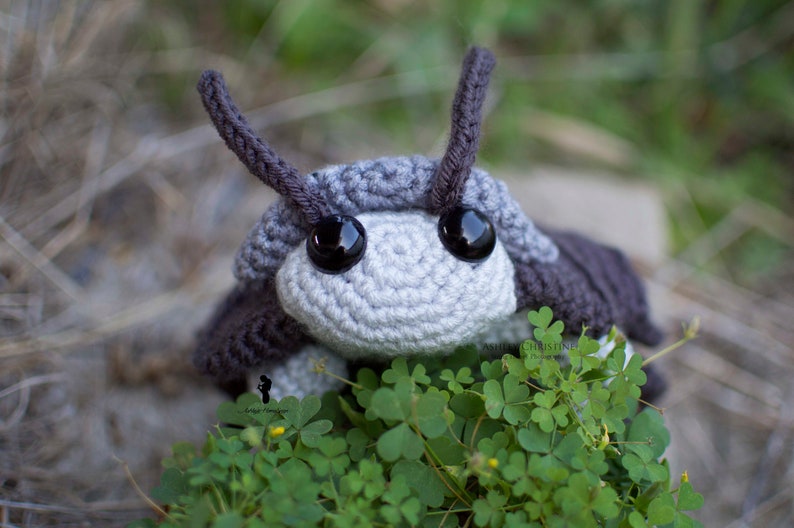 Pill Bug Plush Big Eyes Version Roly Poly Stuffed Crochet Animal Greyscale Gray Poseable Made to Order image 2