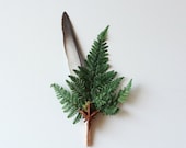 RESERVED wedding boutonniere, fall wedding, winter wedding, fern boutonniere, boutonnieres, winter lapel pin, natural keepsake 'Jacob'