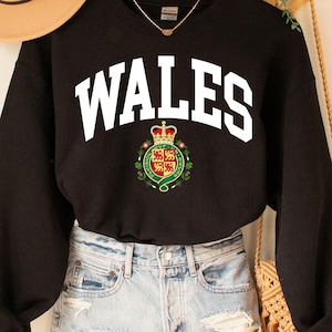 Wales Sweatshirt, Wales,Wales World Cup Shirt,Wales World Cup, Wales coat of arms, Wales flag, Wales gifts, Qatar World Cup