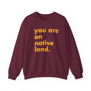 Inheems land sweatshirt, je bent op geboorteland, inheems shirt, protestshirt, antiracismeshirt, empowermentshirt, Pride-shirt afbeelding 9