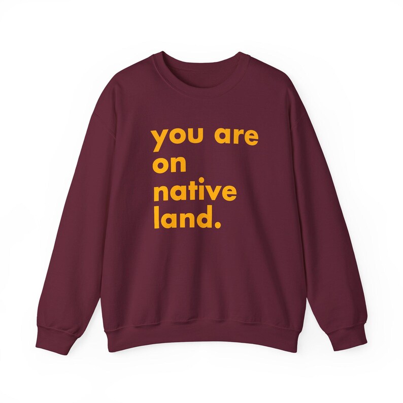 Inheems land sweatshirt, je bent op geboorteland, inheems shirt, protestshirt, antiracismeshirt, empowermentshirt, Pride-shirt afbeelding 9