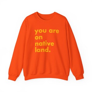 Inheems land sweatshirt, je bent op geboorteland, inheems shirt, protestshirt, antiracismeshirt, empowermentshirt, Pride-shirt afbeelding 10