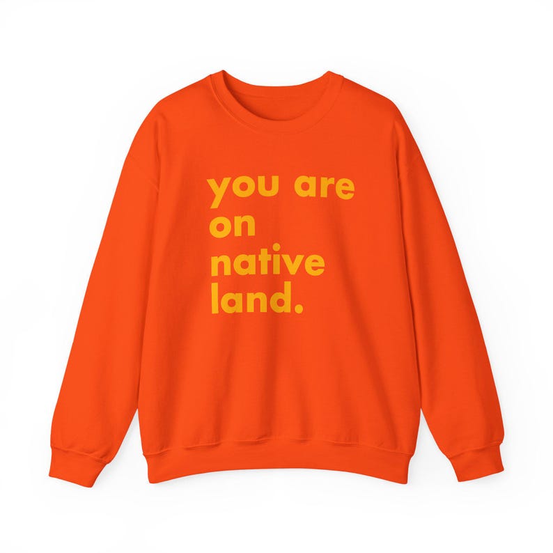 Inheems land sweatshirt, je bent op geboorteland, inheems shirt, protestshirt, antiracismeshirt, empowermentshirt, Pride-shirt afbeelding 10