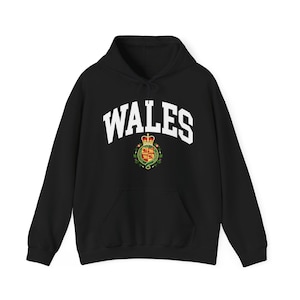 Wales Hoodie, Wales,Wales World Cup Shirt,Wales World Cup, Wales coat of arms, Wales flag, Wales gifts, Qatar World Cup