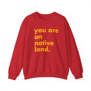 Inheems land sweatshirt, je bent op geboorteland, inheems shirt, protestshirt, antiracismeshirt, empowermentshirt, Pride-shirt afbeelding 8