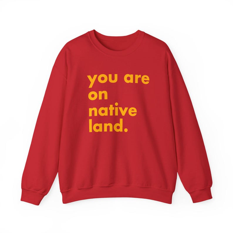 Inheems land sweatshirt, je bent op geboorteland, inheems shirt, protestshirt, antiracismeshirt, empowermentshirt, Pride-shirt afbeelding 8