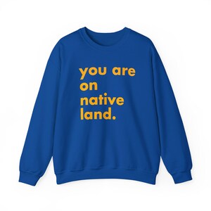 Inheems land sweatshirt, je bent op geboorteland, inheems shirt, protestshirt, antiracismeshirt, empowermentshirt, Pride-shirt afbeelding 6