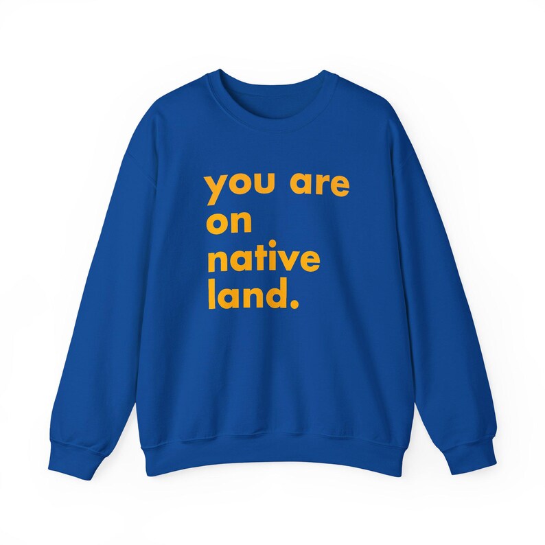 Inheems land sweatshirt, je bent op geboorteland, inheems shirt, protestshirt, antiracismeshirt, empowermentshirt, Pride-shirt afbeelding 6