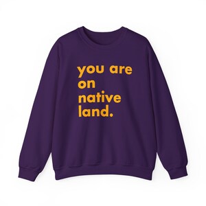 Inheems land sweatshirt, je bent op geboorteland, inheems shirt, protestshirt, antiracismeshirt, empowermentshirt, Pride-shirt afbeelding 7