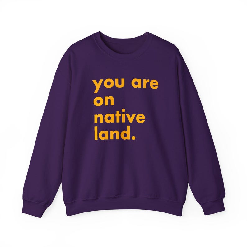 Inheems land sweatshirt, je bent op geboorteland, inheems shirt, protestshirt, antiracismeshirt, empowermentshirt, Pride-shirt afbeelding 7