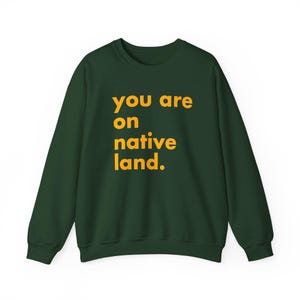 Inheems land sweatshirt, je bent op geboorteland, inheems shirt, protestshirt, antiracismeshirt, empowermentshirt, Pride-shirt afbeelding 4