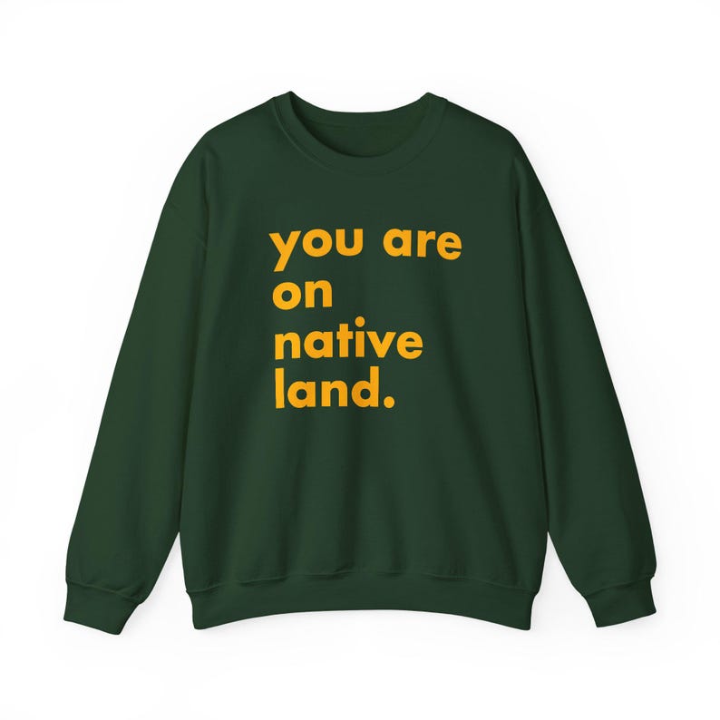 Inheems land sweatshirt, je bent op geboorteland, inheems shirt, protestshirt, antiracismeshirt, empowermentshirt, Pride-shirt afbeelding 4