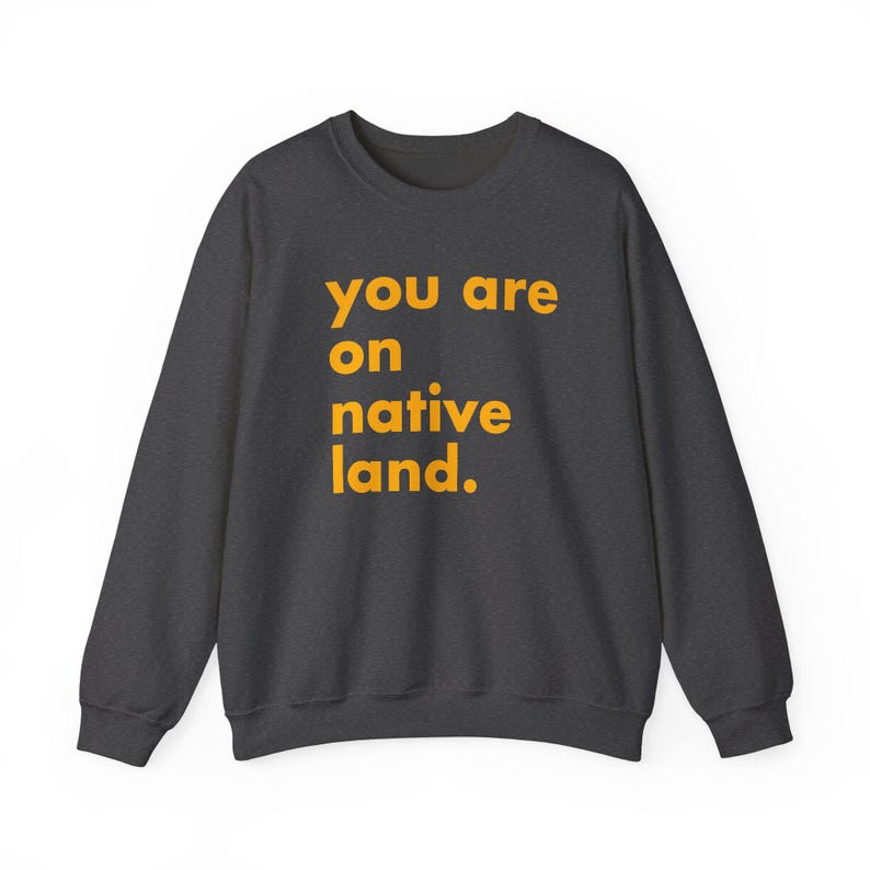 Inheems land sweatshirt, je bent op geboorteland, inheems shirt, protestshirt, antiracismeshirt, empowermentshirt, Pride-shirt afbeelding 5