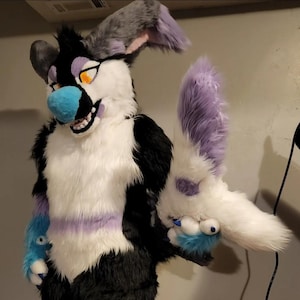 May include: A white and black furry costume with a blue nose and purple accents. The costume has a long, gray and purple tail.