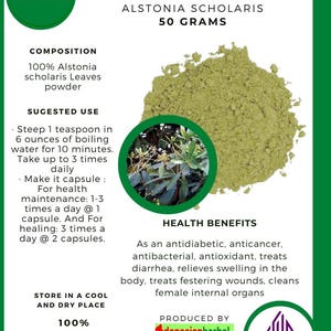 50 g - 500 g Organic Pure Powder Of Indian Pulai/Blackboard Tree / White Cheesewood Alstonia Scholaris WildCrafted 100% Fresh Natural Herbs