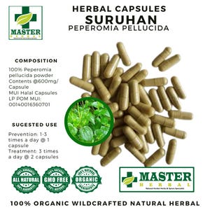 100-500 Kapseln aus reiner Peperomia pellucida (Pfeffer Holunder) Suruhan 100% Bio WildCrafted Frische Natürliche Kräuter