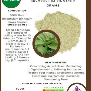50 g - 500 g Organic Pure Powder Of BRYOPHYLUM PINNATUM Cocor Bebek WildCrafted 100% Fresh Natural Herbs