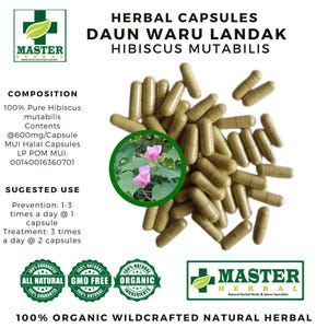 May include: Herbal capsules labeled "DAUN WARU LANDAK HIBISCUS MUTABILIS" with a green and white logo. The image shows a pile of green capsules, a circular image of pink flowers, and text indicating the product's composition and suggested use.
