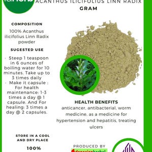 50 g - 500 g Organic Pure Powder Of Sea Holly Leaves Holy Mangrove Acanthus Ilicifolius Linn Radix WildCrafted 100% Fresh Natural Herbs