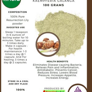 Puede incluir: Una etiqueta marrón y blanca con el texto "idHerb" y "HERBAL POWDER KENCUR KAEMPFERIA GALANGA 100 GRAMS" sobre un fondo blanco. La etiqueta también incluye una descripción del producto, su uso sugerido, sus beneficios para la salud y la información de producción. La etiqueta está junto a una foto de un polvo verde claro y un primer plano de la raíz de la planta.