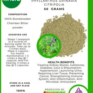50 g - 500 g Organic Pure Powder Of Stonebreaker Chamber Bitter Phyllanthus Urinaria Meniran WildCrafted Natural Herbs spices herbal Organic