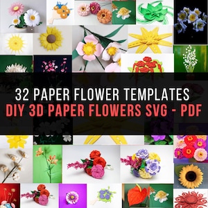 3D Paper Flower Templates: DIY Wedding & Home Decor (SVG, PDF)