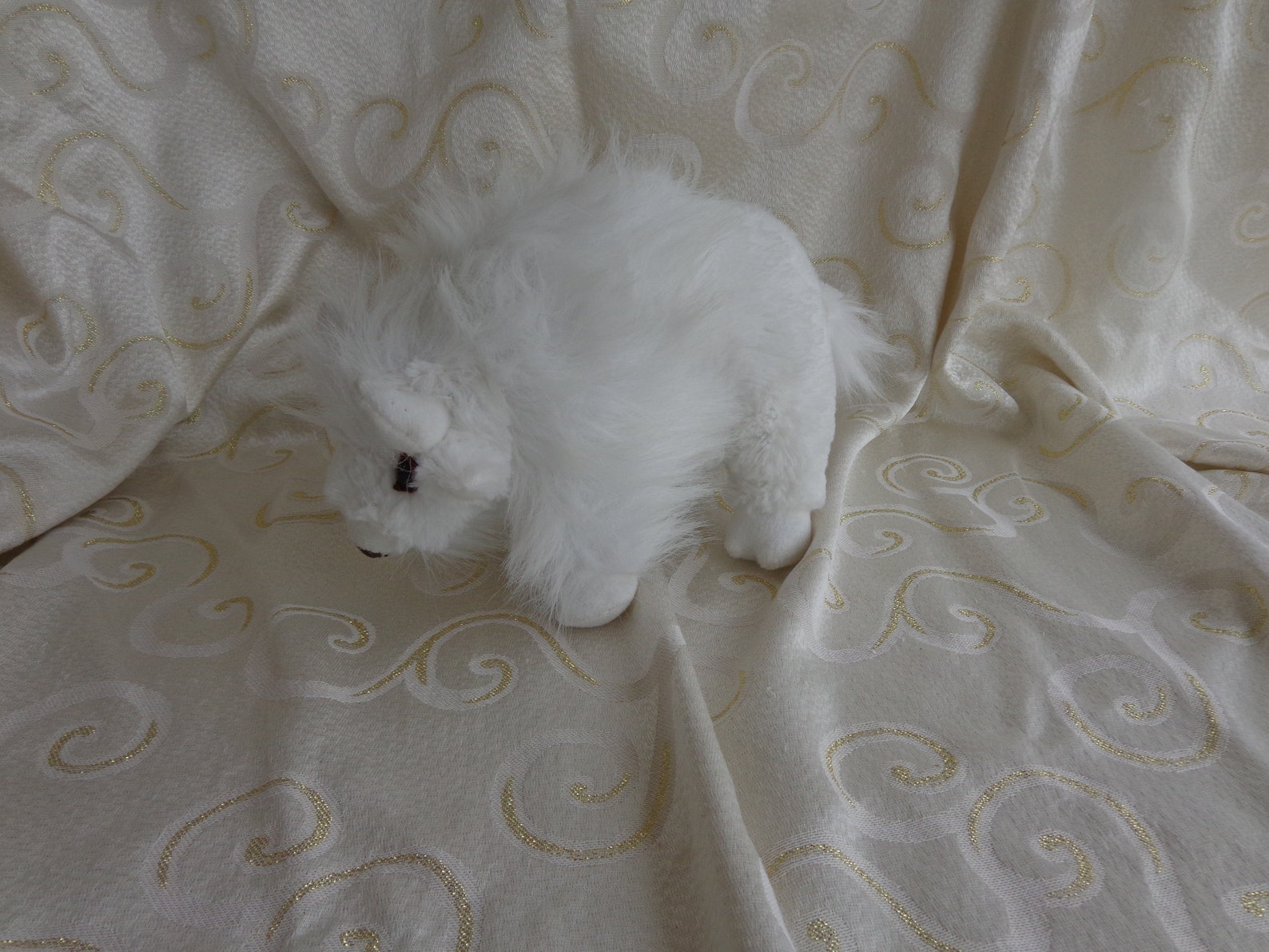 stuffed white buffalo
