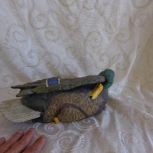PREENING MALLARD DUCK 21 1/2" Figurine - 21 1/2"L x 4"H x 6 1/2"W - Resin Mallard Hand Painted Duck with Bill Tucked Under Wing