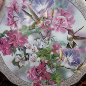 WHISPERING WINGS HUMMINGBIRD Plate - 1996 8 1/4&quot; Hummingbird Plate by Artist Janene Grende - Two Hummingbirds in Morning Glories -