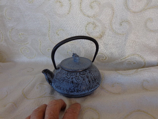 Japanese Nambu Tekki Cast Iron Kettle Lg