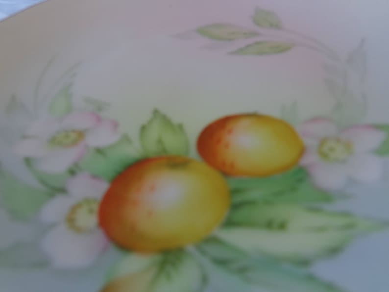 Bavarian Signed Numbered 6 14 Dessert Plate Fruit and Flowers
