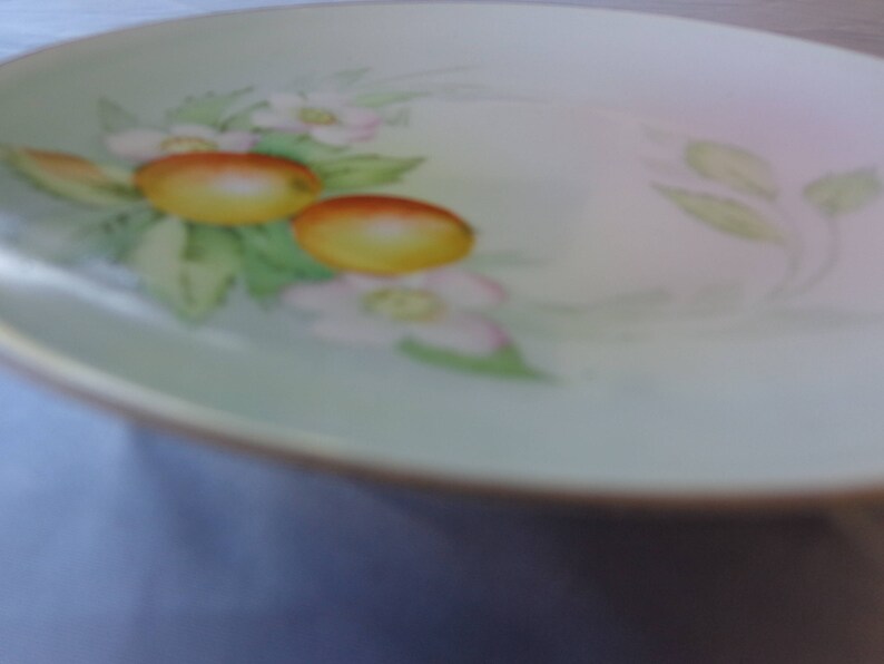 Bavarian Signed Numbered 6 14 Dessert Plate Fruit and Flowers