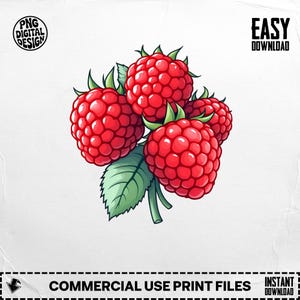 Raspberry Png, Raspberry Clipart, Fruit Png, Berry Png, Sublimation Png, Digital Download Png, Digital