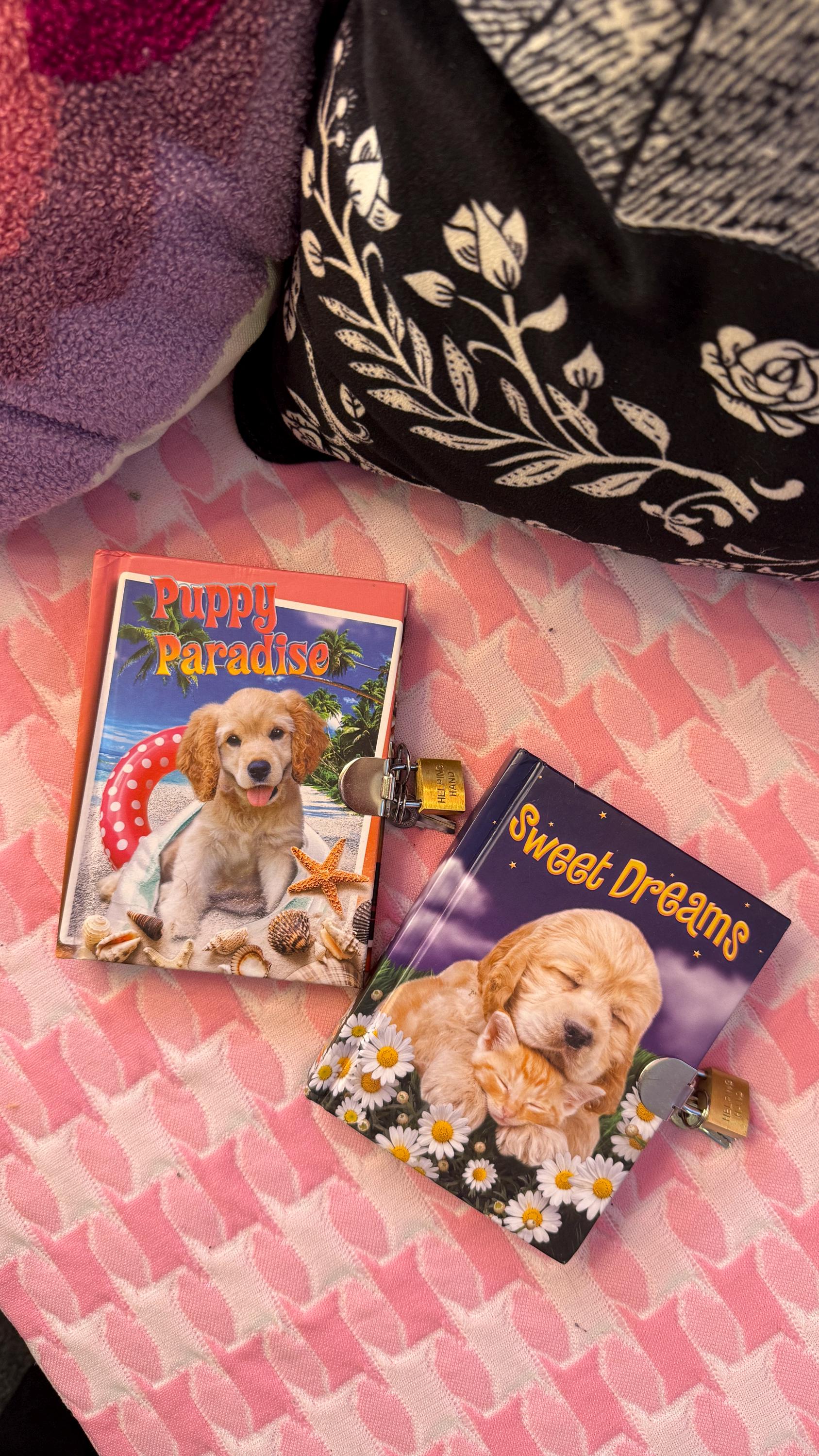 Vintage Scholastic Lock & Key Diary: Puppy Paradise or Sweet Dreams - Etsy  Australia