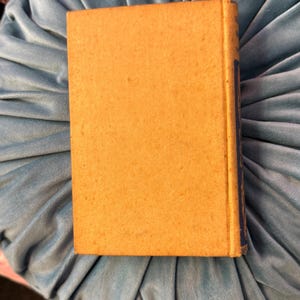 Pu&ograve; includere: Un libro vintage con una copertina strutturata color marrone chiaro e un dorso blu. Il libro &egrave; appoggiato su un cuscino di velluto blu chiaro. La copertina del libro &egrave; semplice, mentre il dorso presenta elementi decorativi.