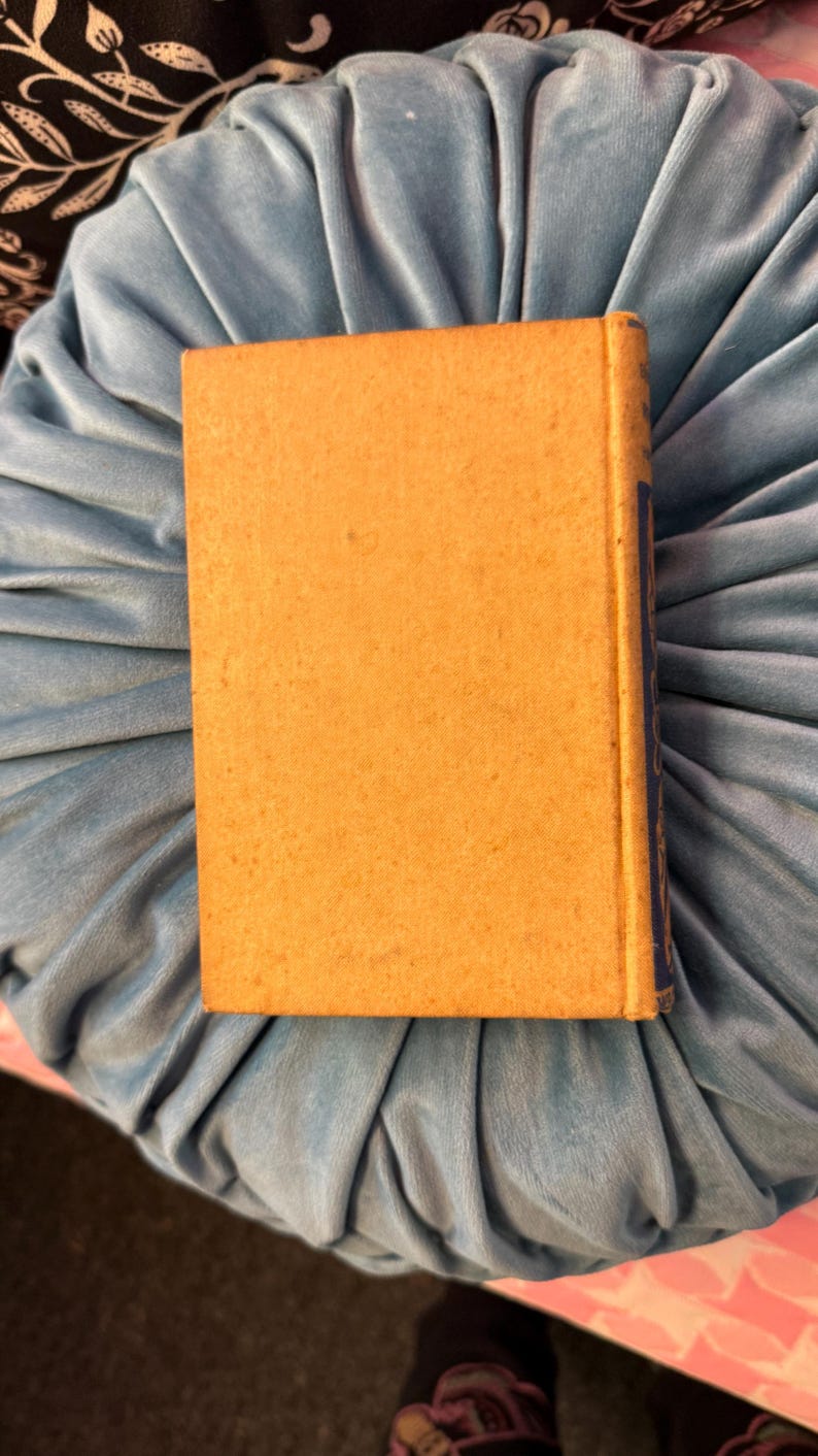 Pu&ograve; includere: Un libro vintage con una copertina strutturata color marrone chiaro e un dorso blu. Il libro &egrave; appoggiato su un cuscino di velluto blu chiaro. La copertina del libro &egrave; semplice, mentre il dorso presenta elementi decorativi.