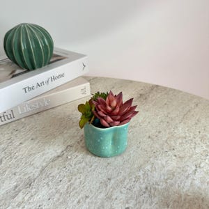 May include: A small, light green ceramic planter with a speckled finish containing a cluster of artificial succulents, including a prominent deep red, rosette-shaped plant and smaller green foliage, positioned near two stacked books.