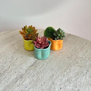 May include: Three small ceramic planters in yellow, light blue, and orange, each featuring a wavy, scalloped rim. The planters contain artificial succulent plants in shades of green, orange, and pink, arranged in a cluster on a textured surface.