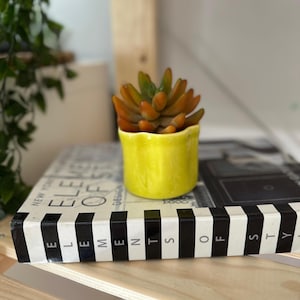 May include: A small, vibrant yellow ceramic planter with a scalloped rim holds a succulent plant with orange and green leaves. The planter rests on a book with a black and white striped spine that features the text Elements of Style.
