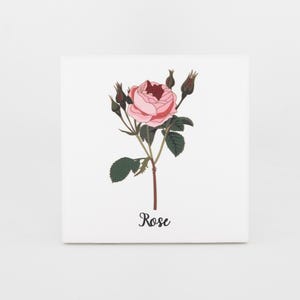 May include: A square, white ceramic tile featuring a botanical illustration of a pink rose with green leaves and brown stems. The word "Rose" is written in a cursive font below the flower.