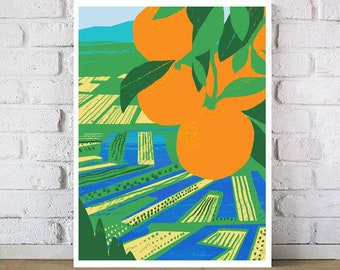Neretva Delta - Citrus Fruit Art print - 20"x27 » - archives beaux-arts giclée imprimé