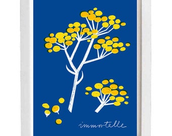 Immortelle Botanical Art Print - 11x15" - archival fine art giclée print