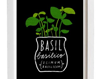 Basil Italian Herb Mediterranean Green Kitchen Art Print  11"x15" - archival fine art giclée print