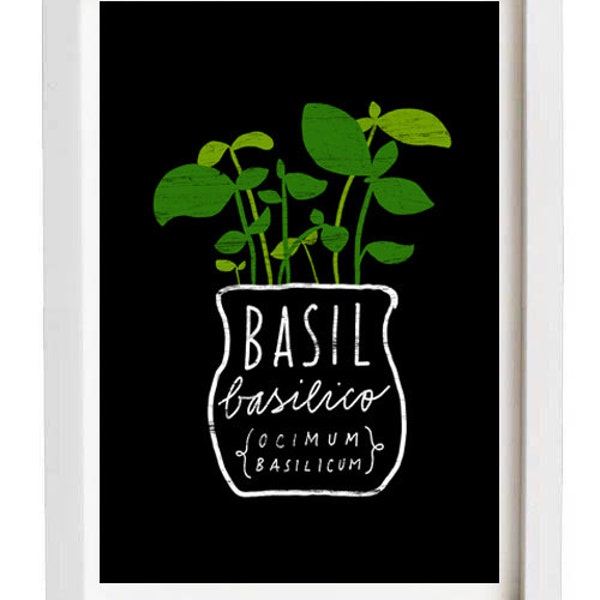 Basil Italian Herb Mediterranean Green Kitchen Art Print  11"x15" - archival fine art giclée print