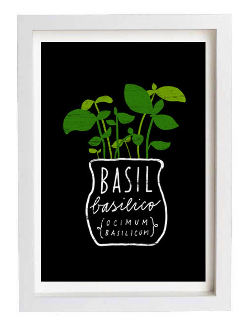 Basil Herb Mediterranean Green Kitchen Art Print Etsy