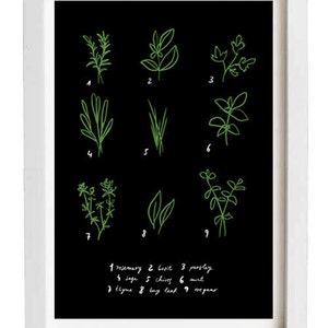 Botanical Chart Herbs Poster print 20x27 archival fine art giclée print image 2