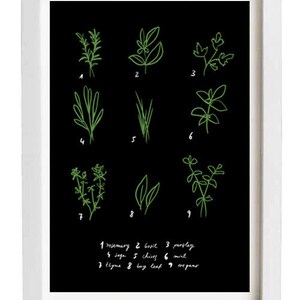 Kitchen Art Print Herbs 8.3" x 11.7" - Botanical Chart  - archival fine art giclée print