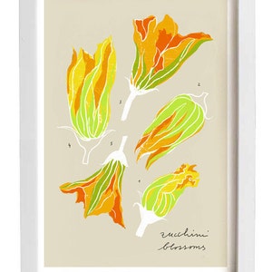 Zucchini blossoms beige Kitchen art print 11x15 archival fine art giclée print image 1