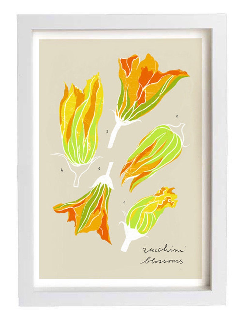 Zucchini blossoms beige Kitchen art print 11x15 archival fine art giclée print image 1